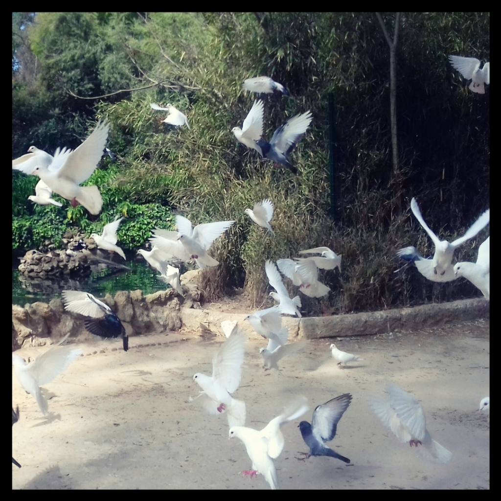 María Luisa park tour