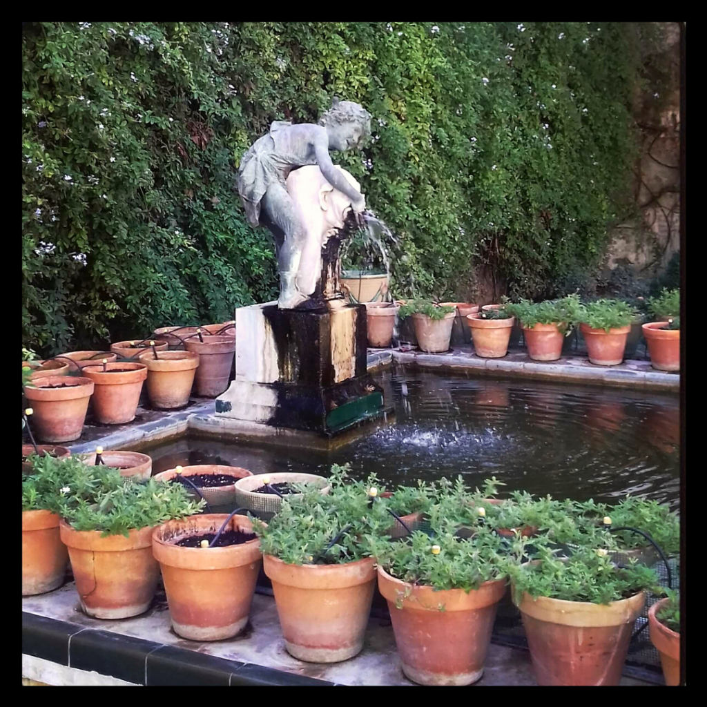 Casa de Pilatos private tour